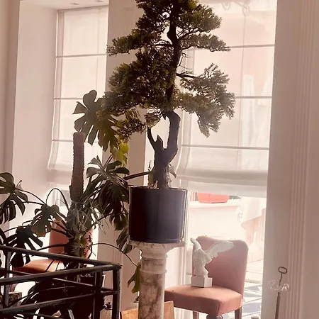 B&B Liberty-3