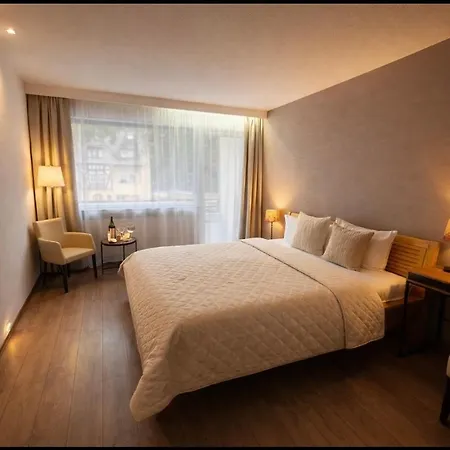 Hotel Schwanenweiher Bad Bertrich-2