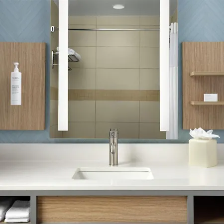 Hilton Garden Inn Tampa East Brandon-2