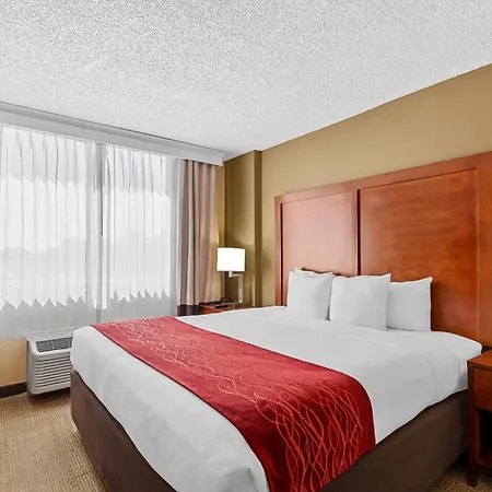 Comfort Inn & Suites Lakeland North I-4-2