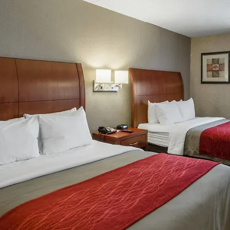 Comfort Inn & Suites West Springfield-3