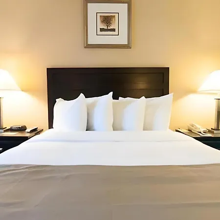 Hotel Solaire Los Angeles-2