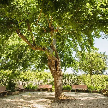 Il Borgo di Donoratico, Residence with swimming pool-2
