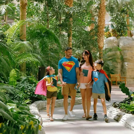 Gaylord Palms Resort & Convention Center-3