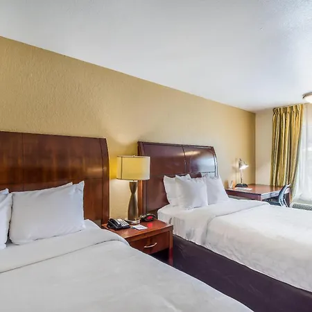 Clarion Inn & Suites Central Clearwater Beach-2