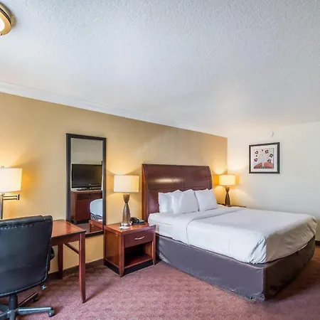 Clarion Inn & Suites Central Clearwater Beach-3