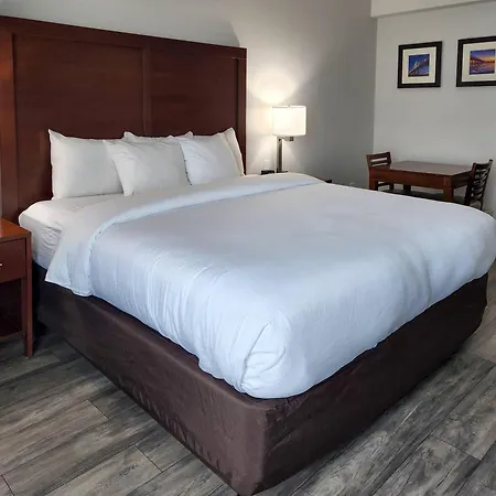 Comfort Suites Baymeadows Near Butler Blvd-2