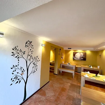 Europa Pension zum Grünen Baum-3