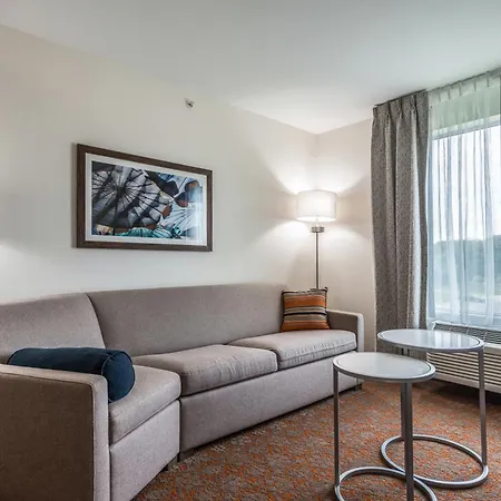 Fairfield Inn & Suites By Marriott St. Joseph Stevensville-2
