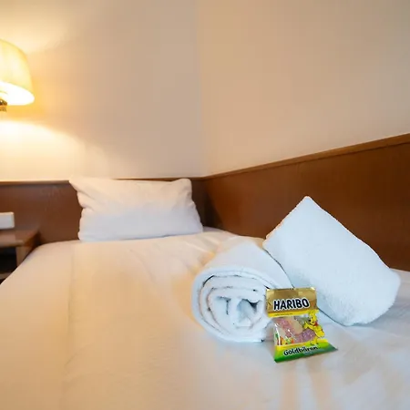 Hotel Baeren-3
