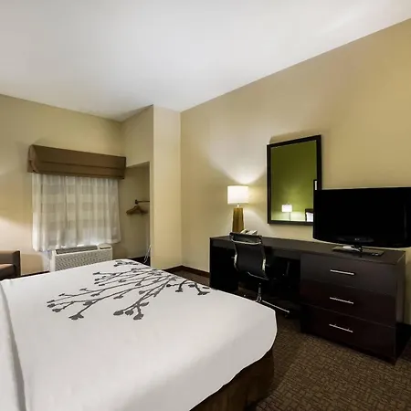 Sleep Inn & Suites Valdosta Mall Area-2