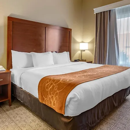 Comfort Suites Jonesboro University Area-3