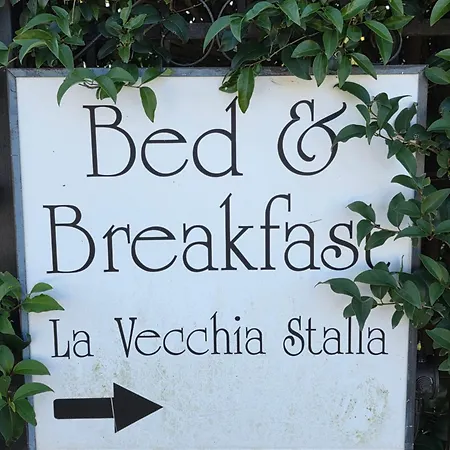La Vecchia Stalla B&B-3