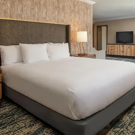 Edgewater Missoula, Tapestry Collection By Hilton-3