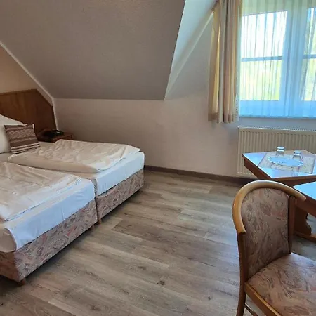 Hotel Mecklenburger Mühle Garni-2