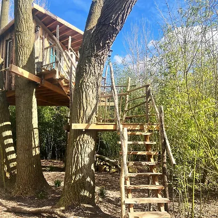 Bamboo Lodge Groningen-3