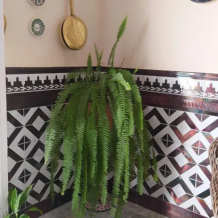 Hostal Andalucía-2