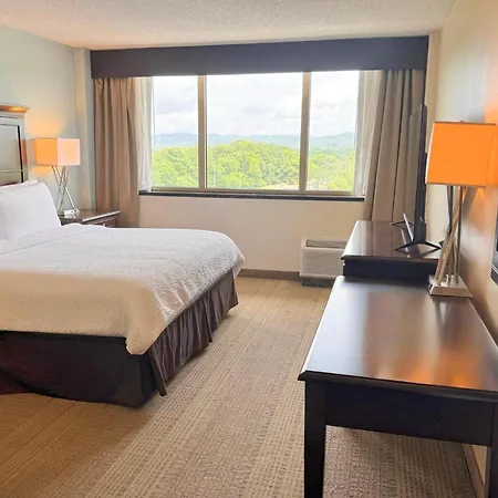 Holiday Inn Birmingham-Airport By Ihg-3