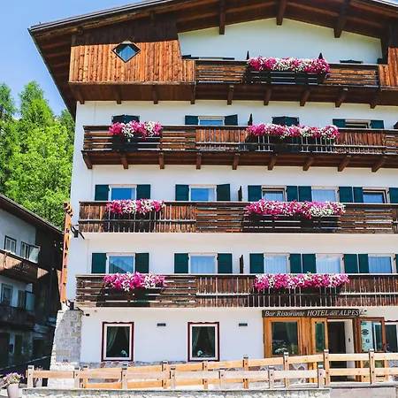 Hotel Des Alpes-3