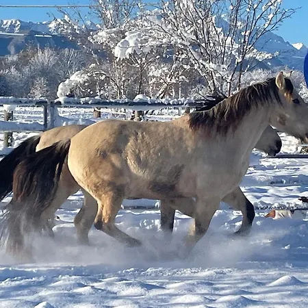 B&B Cm Ranch-3