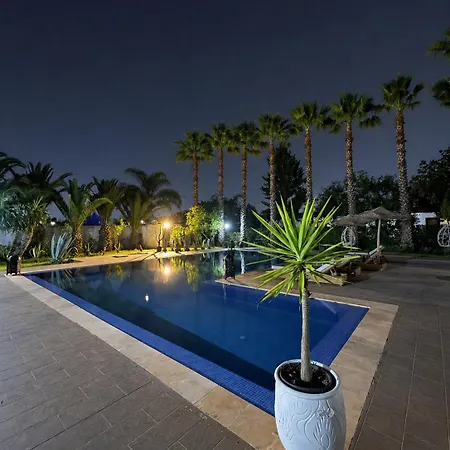 Riad Hamdani-2