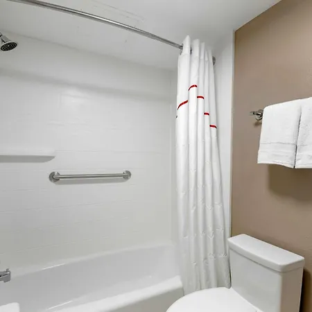 Red Roof Inn Tampa Bay - St. Petersburg-3