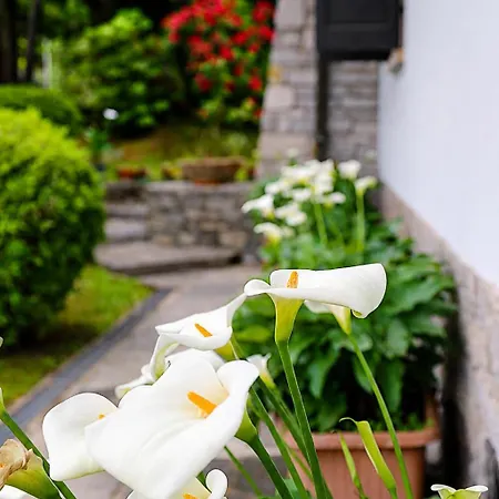 Bed & Breakfast Gli Oleandri-3