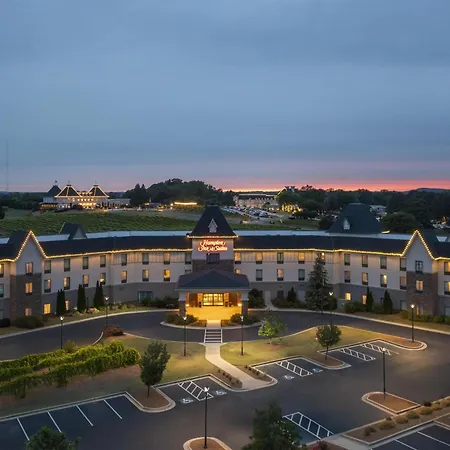 Hampton Inn & Suites Braselton-3