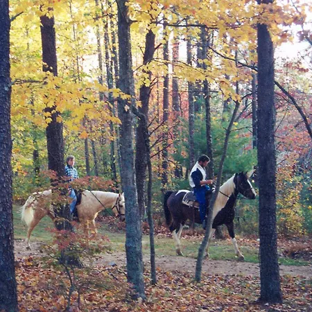 Forrest Hills Mountain Resort-2