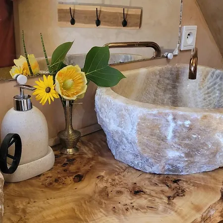 Le Manoir des Pélies Gîte et Chambres d'hôtes de charme à 6kms de Conques Spa, Piscine, Rivière, Thermes de Cransac-2