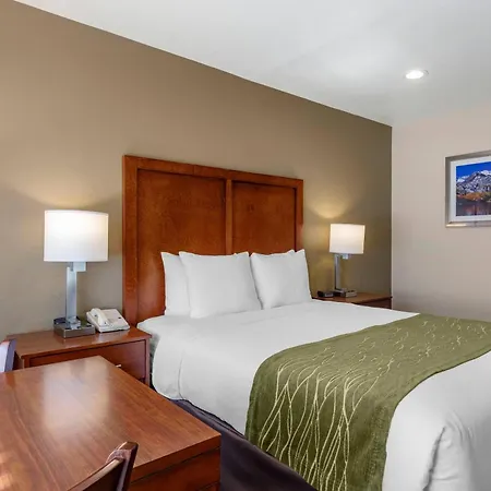 Comfort Inn Bishop-2