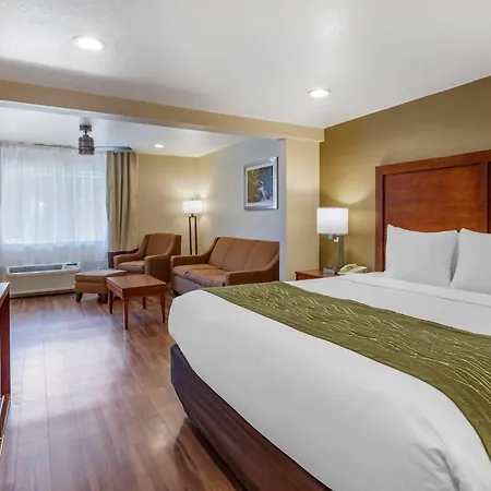 Comfort Inn Bishop-3