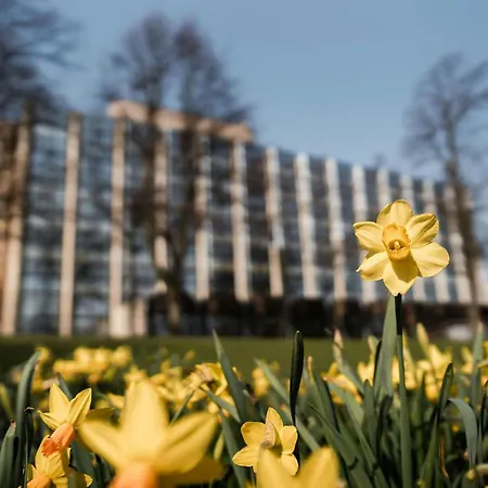 Sheraton Essen Hotel-3