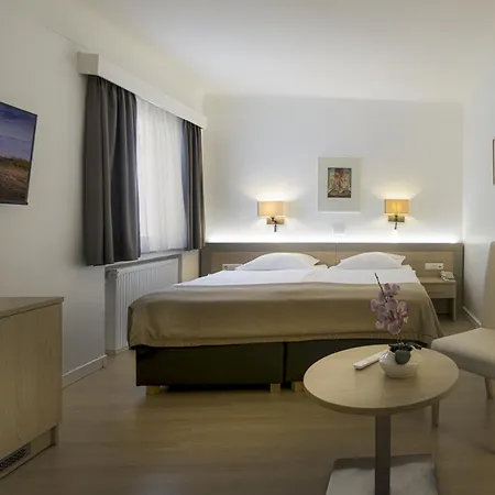 Hotel Francais-2