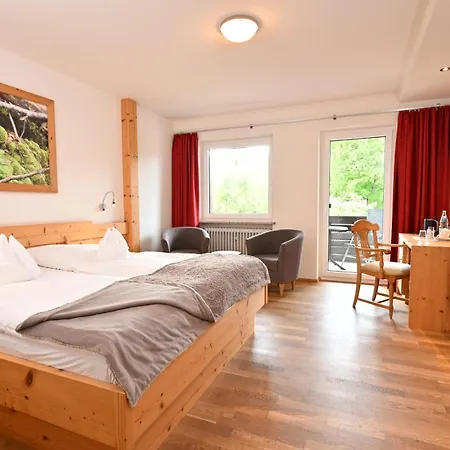 Hotel Gasthof Adler-3