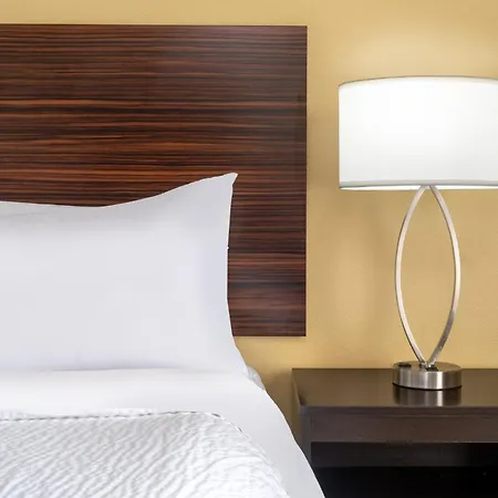 Garner Hotel Houston - Westheimer By Ihg-3