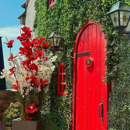 Belle Epoque Boutique (Adult Only)-3
