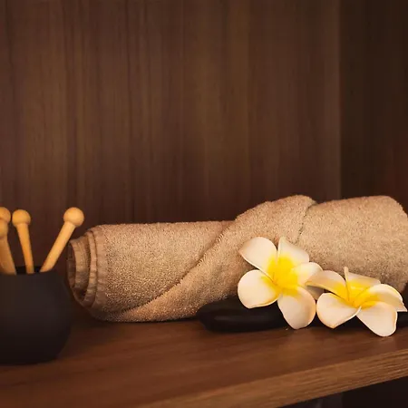 Relais De La Malmaison Paris Rueil Hôtel-Spa-3