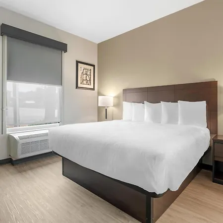 Best Western Plus Mckinney Inn And Suites-2