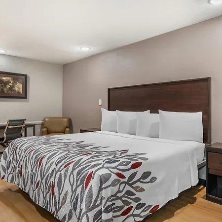 Red Roof Inn North Dallas - Park Central-3