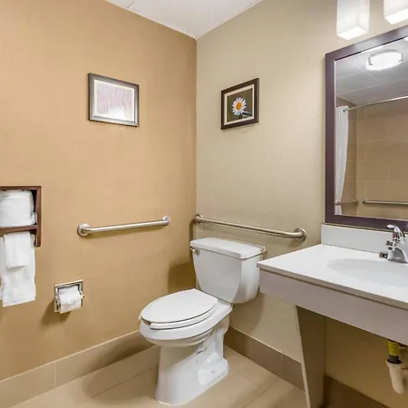 Comfort Suites Regency Park-2