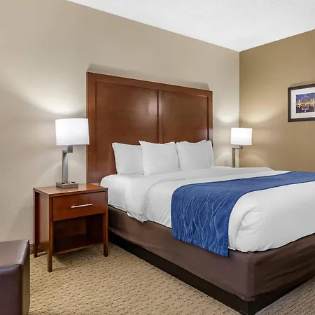 Comfort Inn Near Greenfield Village-3