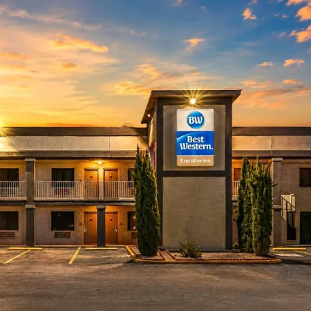 Best Western Executive Inn-3