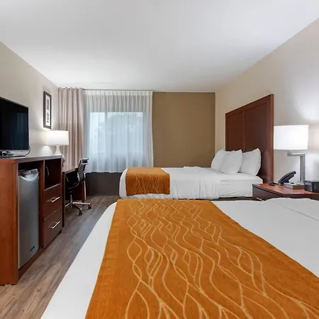 Comfort Inn Binghamton I-81-3