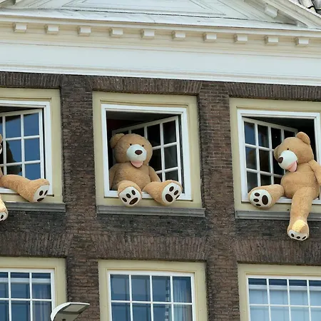 B&B Montancourt-Middelburg-2