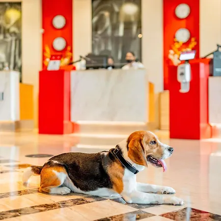 Ibis Barcelona Castelldefels-3