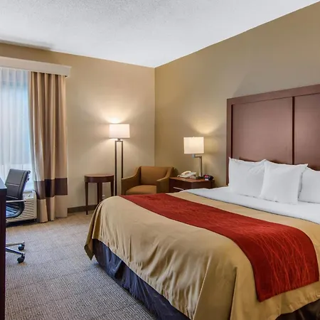 Comfort Inn Chester - Richmond South-2