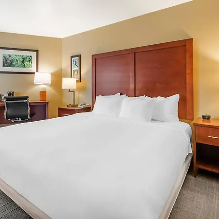 Comfort Inn Missoula Near University-2