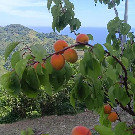 La quiete accesa-2