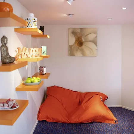 Novotel Lyon Gerland Musee Des Confluences-3